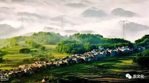 休閑農業與鄉村旅游資源的開發策略與實踐